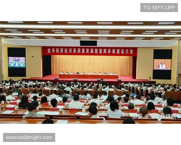 民营企业家在推动中国经济高质量发展中的核心作用与时代担当